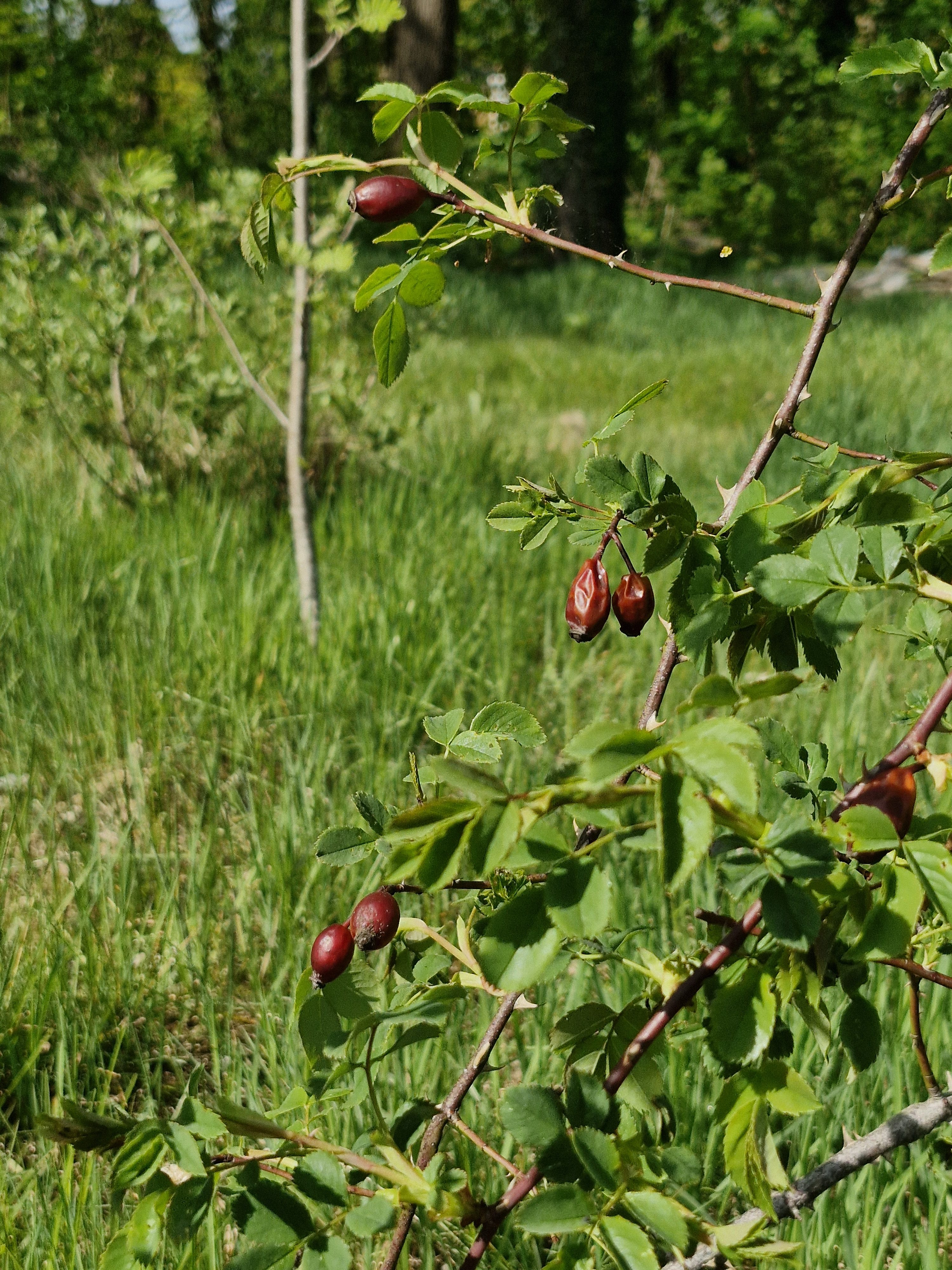 Aktionstage 2026 starten